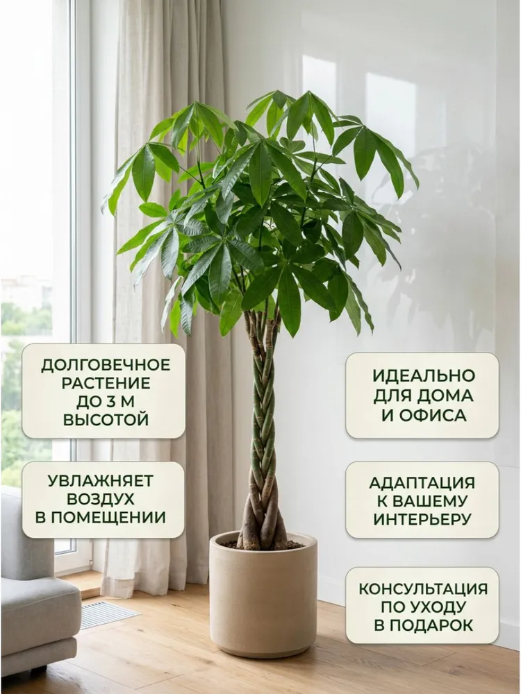 Товар с маркетплейса 9